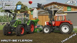 Seeding WINTER WHEAT with FENDT 720 | Animals on Haut-Beyleron | Farming Simulator 22 | Episode 13