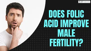 Exploring the Link: Folic Acid's Impact on Male Fertility - Myth or Reality?