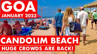 Goa | Candolim Beach - January - 2023 | Situation Update | New Shacks | Goa Vlog | North Goa |