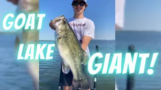 Lake Fork Bass Fishing Top Baits Live! Catch Giants And Save Veterans Lives At The Same Time!!!!!