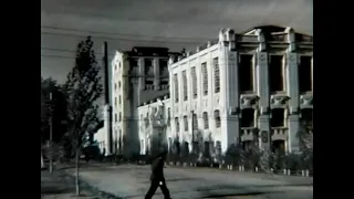 Бердичев, рафинадный завод (1952)