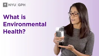 What is Environmental Health?