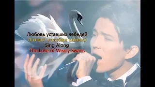 Dimash (THE LOVE OF WEARY SWANS) Любовь уставших лебедей - Sing Along