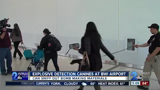 Bomb-sniffing dogs checking travelers at BWI