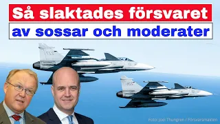 Så slaktades försvaret av sossar och moderater