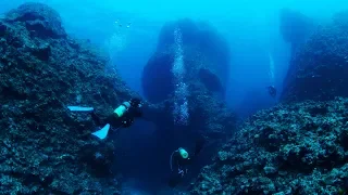 [ 4K UHD ] 与論島の海中世界 Underwater World in Yoron Island,Kagoshima (Shot on RED EPIC)