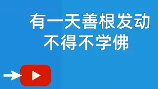 有一天善根发动，不得不学佛