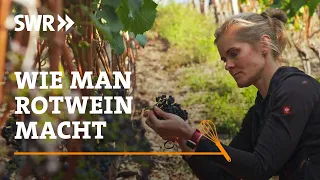 Wie man Rotwein macht | SWR Handwerkskunst