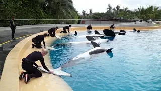 Orcas Nutrition