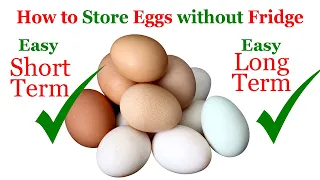 How to Store Eggs without Fridge