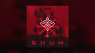 Go_A - Shum (Heldeus Remix)