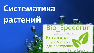 15. Систематика (Speedrun ботаника 6 класс, ЕГЭ, ОГЭ 2021)