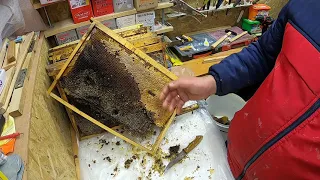 Что делать и куда девать обпоношенные и заплеснявевшие рамки/  Пчеловодство