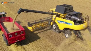 HARVEST 2021 TWO NEW HOLLAND CR8.90 HARVESTING BARLEY