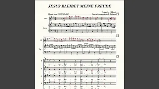 JESUS BLEIBET MEINE FREUDE. Part of Alto (Bwv 147)