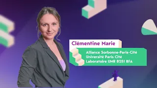 Clémentine Marie - Prix du Jury MT180