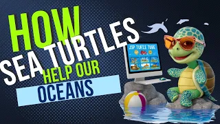 How Sea Turtles Help Our Oceans. . 🐢🌊 #marinelife #seaturtle #leatherbackturtle #oceanconservation