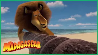 DreamWorks Madagascar em Português | Chegada à Ilha | Desenhos Animados