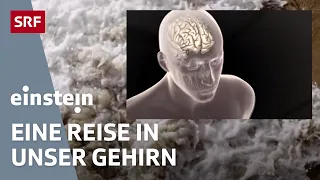 Das menschliche Bewusstsein – Eine Reise in unser Gehirn | Einstein | SRF