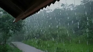 You just need the sound of heavy rain & thunder, to sleep more soundly | ASMR ‐ indorain