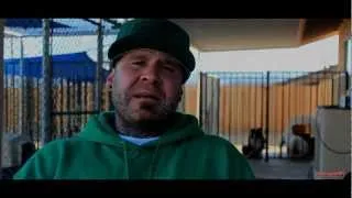 LowDownKennels (BullyWebTV) American Bully's Official Trailer