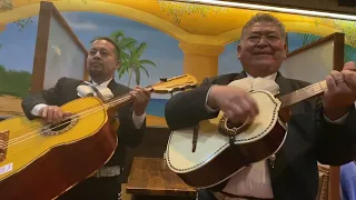 El Barrilito - Mariachi Emperadores De Mexico: Galveston 1 (5-8-2024) @SalsasRestaurant