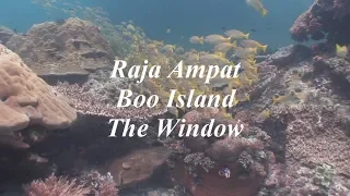 Raja Ampat - Boo Island - The Window