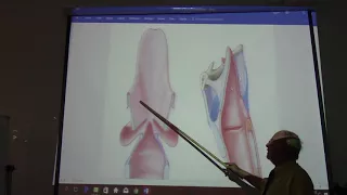 Respiratory  Module  13 or head & neck 69 ( Larynx , part 5 ) , by Dr. Wahdan