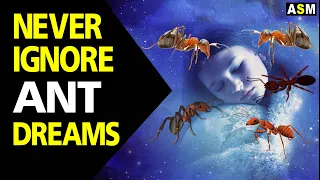 What does Ant dream meaning | Dreaming of ants mean | Ants dream interpretation