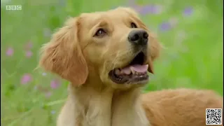 Gardeners World episode 71 2021