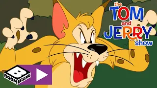 Tom i Jerry Show | Trzy małe ptaszki | Cartoonito