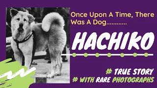 Hachiko I Story Of The Most Loyal Dog I True Story I With Rare Photographs I Akita Dog I Inspiration