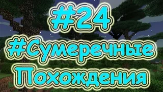 Lp. #СумеречныеПохождения #24 Амулет Рунного Щита!