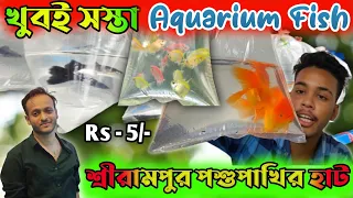 Serampore Pet Market Fish |Aquarium Fish Price Update Shrirampur Fish Market |Serampore Fish Market