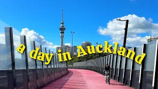 a day in auckland 🥝 | cafe hopping ☕️, luminarium and the iconic pink path