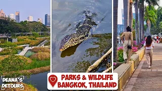 Walking Through Parks in Bangkok, Thailand! *pov vlog* (HUGE Monitor Lizards)