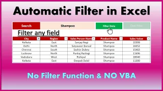 Automatic Filter in Excel (Hindi)