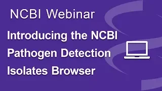 Introducing the NCBI Pathogen Detection Isolates Browser