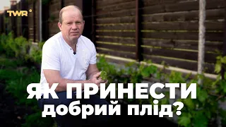 Як принести добрий плід? | Олександр Чмут