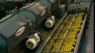 How Orange Juice Is Made