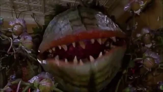 Audrey II - Shiny (Moana)