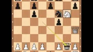 Chess Openings - Colorado Gambit