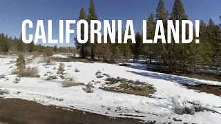 California Land for Sale | No Credit Checks!