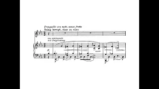 Mahler: Kindertotenlieder: 4. Oft denk' ich - Goerne (Blomstedt, live)