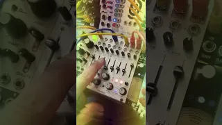 @intellijel Sealegs for days 🌊