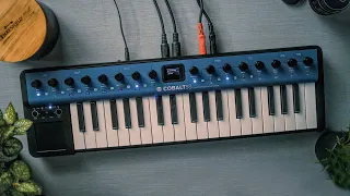 Modal Cobalt 5S 🎹 | A Budget Hardware Synth That Rocks