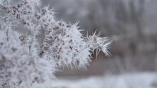 ХРУСТАЛЬНЫЙ ДЕНЬ