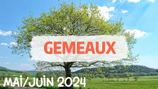 ♊ GÉMEAUX ♊🌼 MAI /JUIN 2024 🌼✨ Une ouverture, un nouvel élan ! ✨