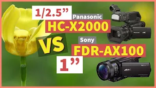 Panasonic HC-X2000 vs Sony FDR-AX100