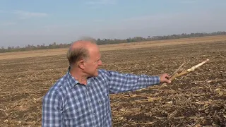 Отзыв о работе по кукурузе ZEUS VERTI-TILL VELES AGRO